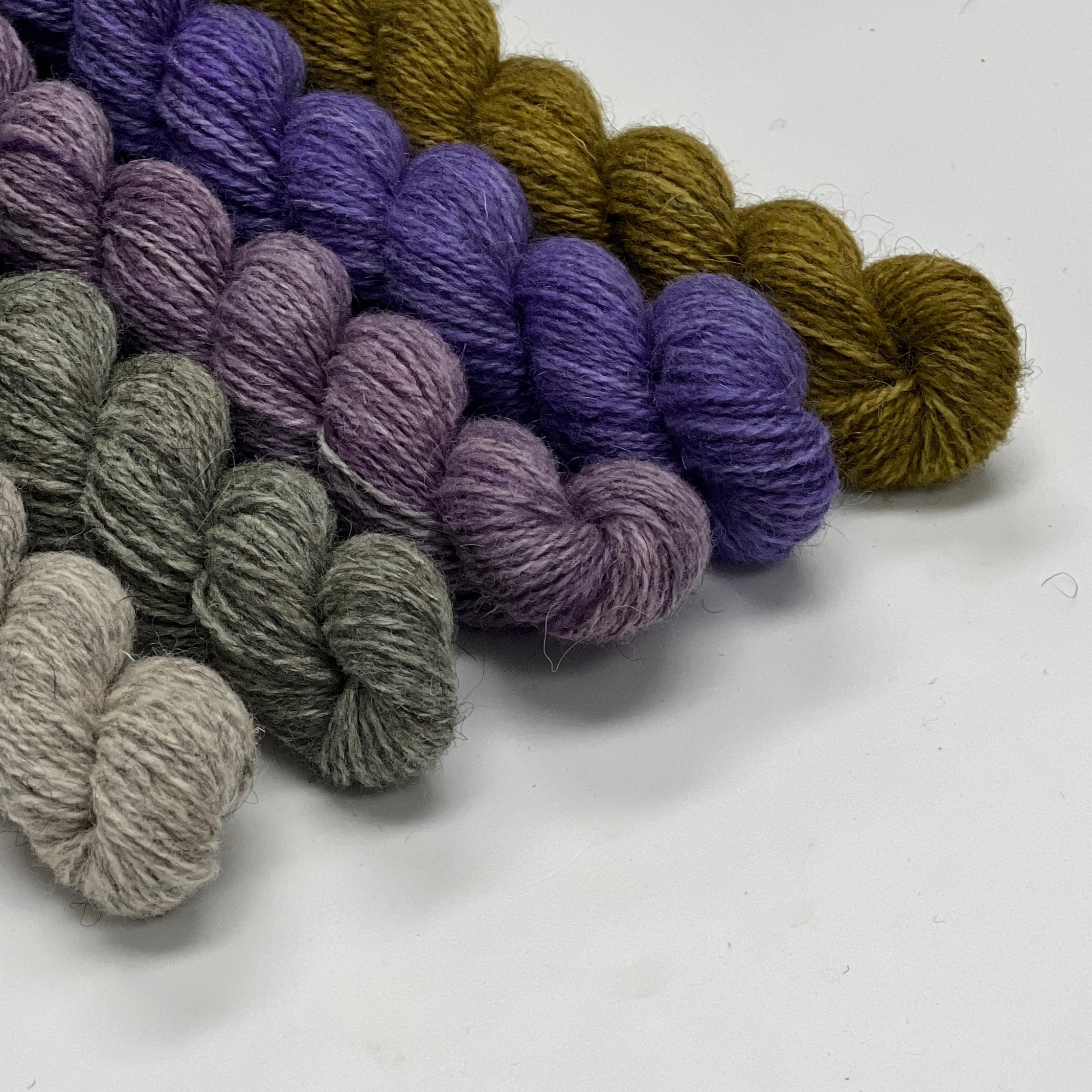 Hampshire 4ply Mini Skeins The Grey Sheep Co